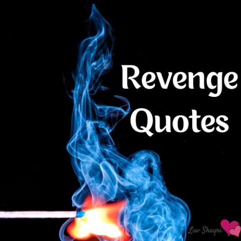 Revenge About Quotes