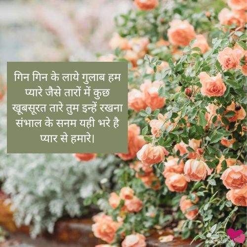 rose day quotes for love in hindi